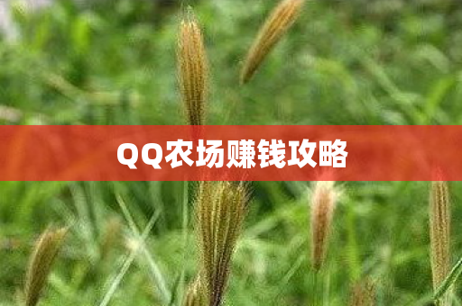 QQ农场赚钱攻略图片