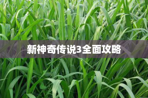 新神奇传说3全面攻略图片