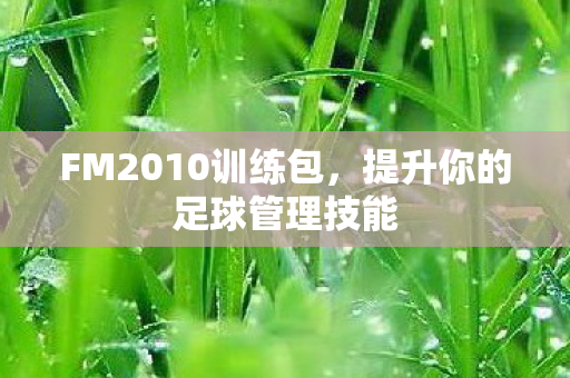 提升你的足球管理技能图片