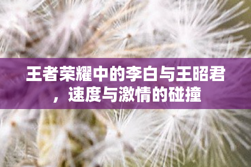 王者荣耀中的李白与王昭君图片
