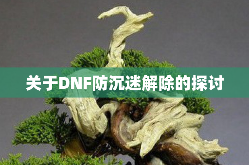 关于DNF防沉迷解除的探讨图片