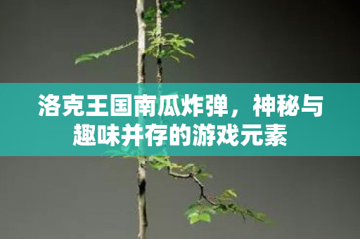 神秘与趣味并存的游戏元素图片
