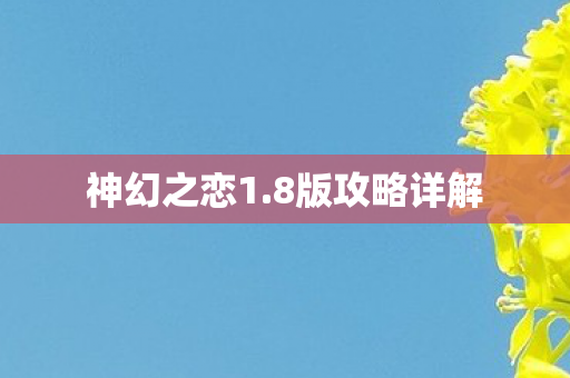 8版攻略详解图片