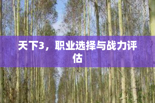 职业选择与战力评估图片