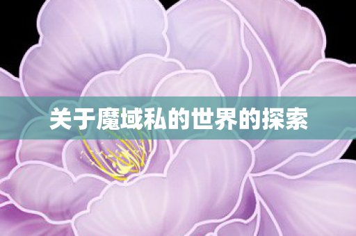 关于魔域私的世界的探索图片