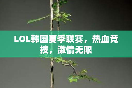 LOL韩国夏季联赛图片