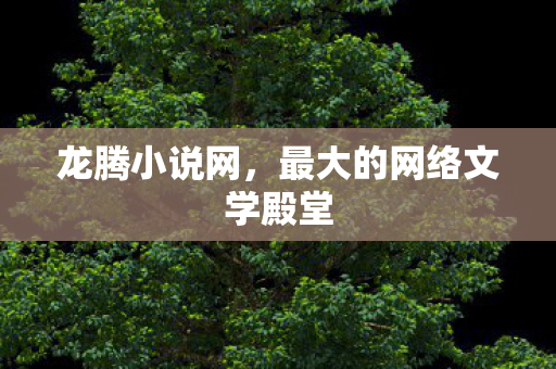 最大的网络文学殿堂图片