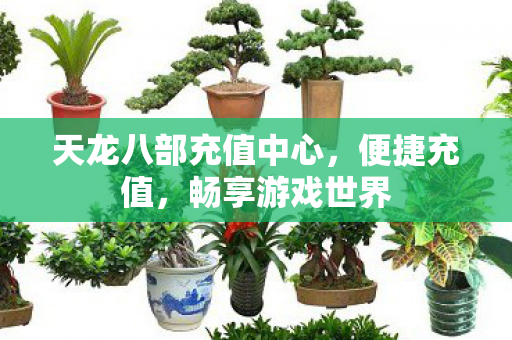 天龙八部充值中心图片