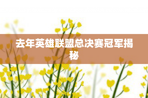 去年英雄联盟总决赛冠军揭秘图片