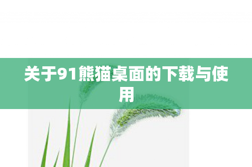 关于91熊猫桌面的下载与使用图片