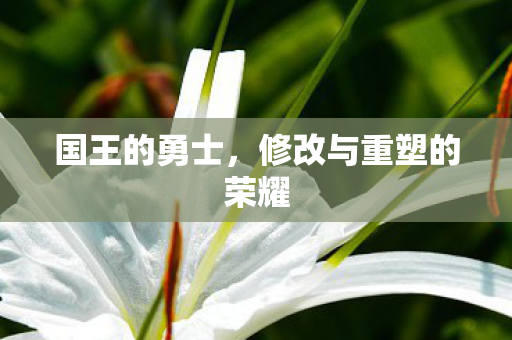 修改与重塑的荣耀图片