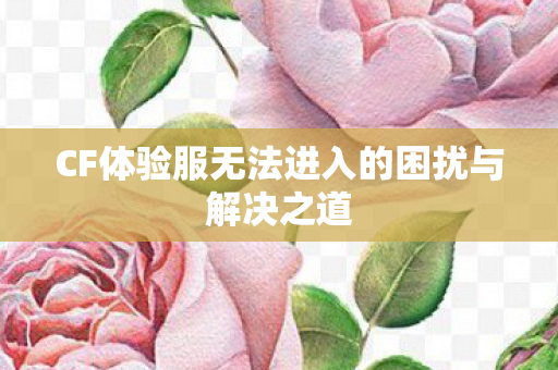 CF体验服无法进入的困扰与解决之道图片