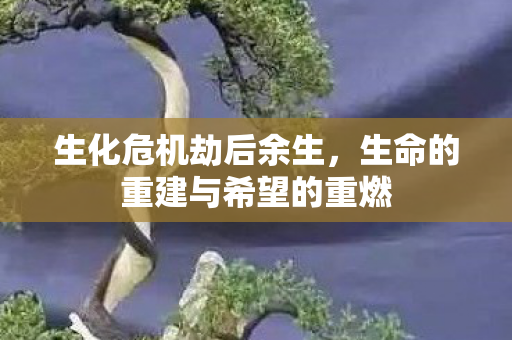 生命的重建与希望的重燃图片