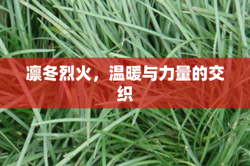 温暖与力量的交织图片