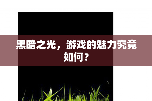 游戏的魅力究竟如何图片
