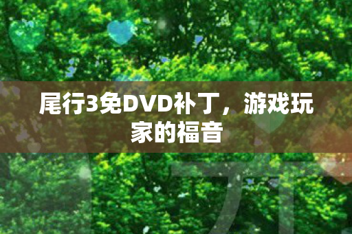 尾行3免DVD补丁图片