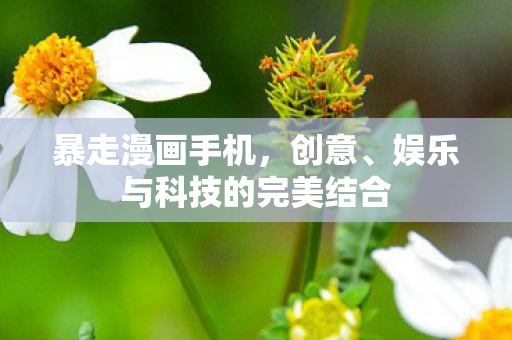 娱乐与科技的完美结合图片