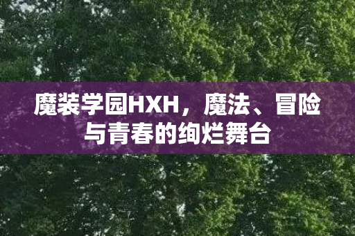 冒险与青春的绚烂舞台图片