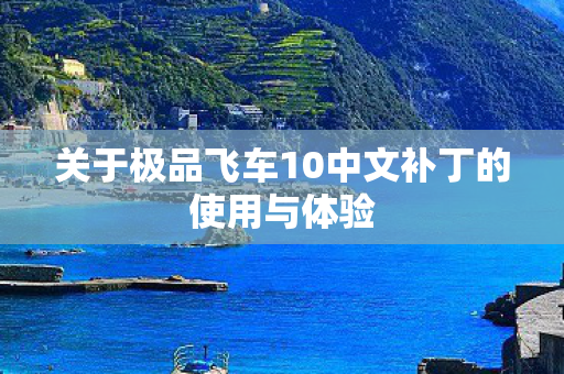 关于极品飞车10中文补丁的使用与体验图片