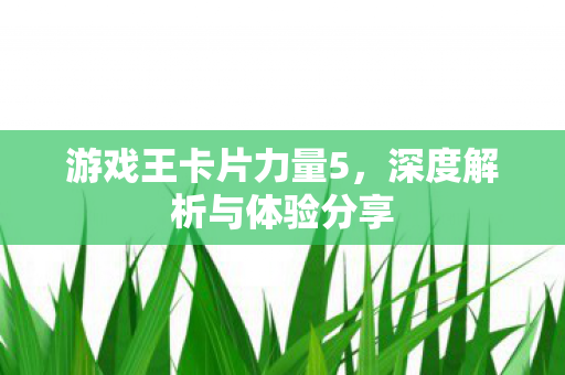 深度解析与体验分享图片