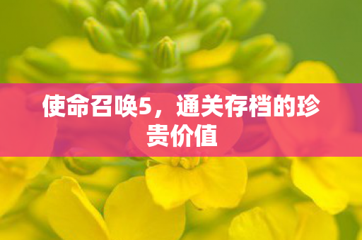 通关存档的珍贵价值图片