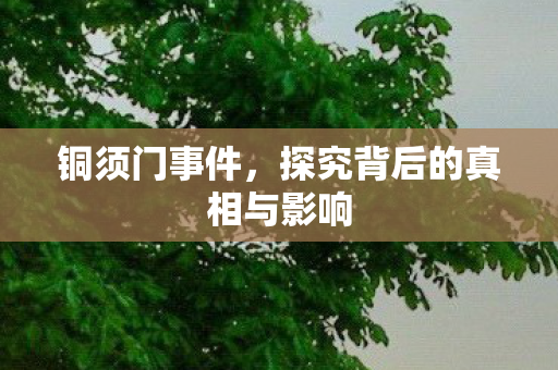 探究背后的真相与影响图片