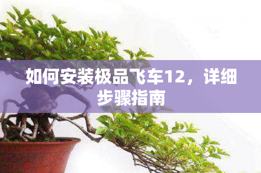 如何安装极品飞车12图片