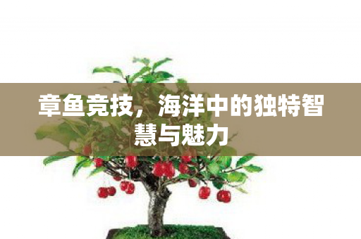 海洋中的独特智慧与魅力图片