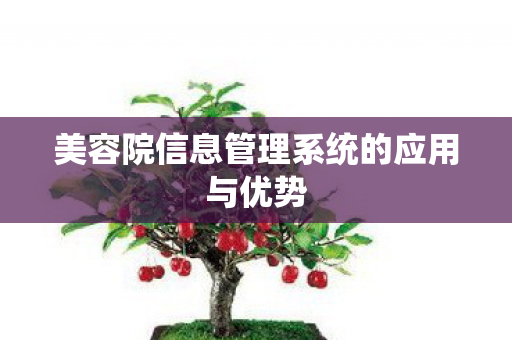 美容院信息管理系统的应用与优势图片