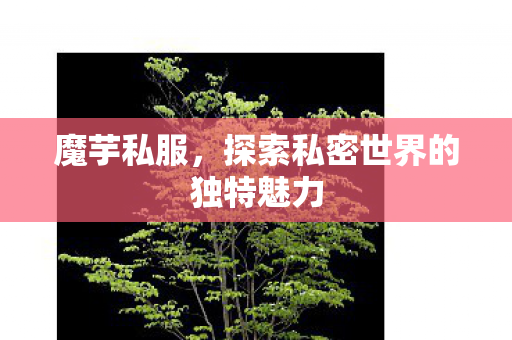 探索私密世界的独特魅力图片