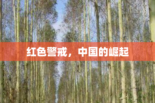 中国的崛起图片