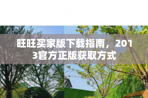 2013官方正版获取方式图片