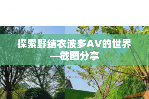 探索野结衣波多AV的世界图片