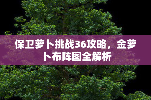 保卫萝卜挑战36攻略图片