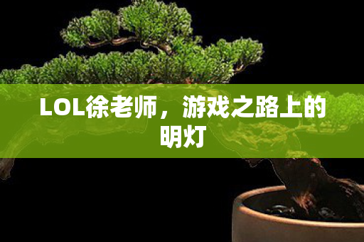 游戏之路上的明灯图片