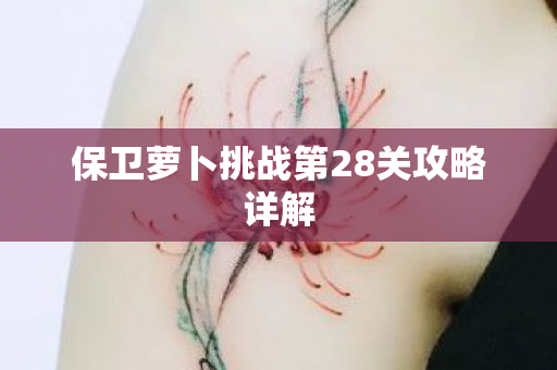 保卫萝卜挑战第28关攻略详解图片