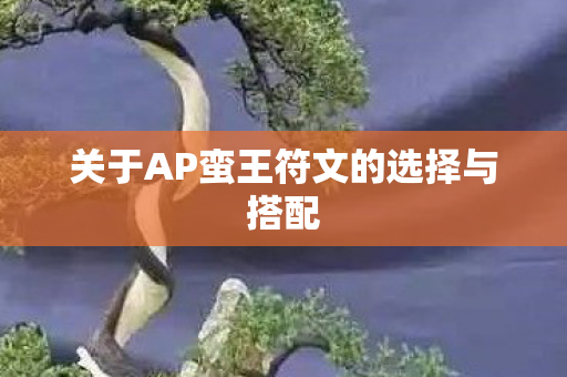 关于AP蛮王符文的选择与搭配图片
