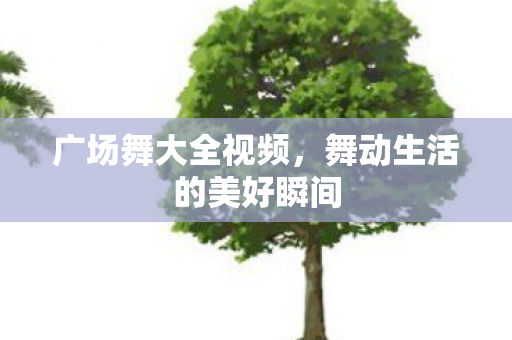 舞动生活的美好瞬间图片
