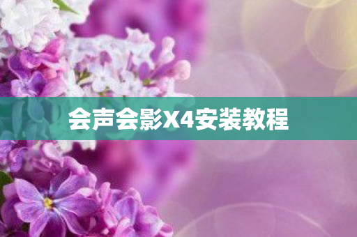 会声会影X4安装教程图片