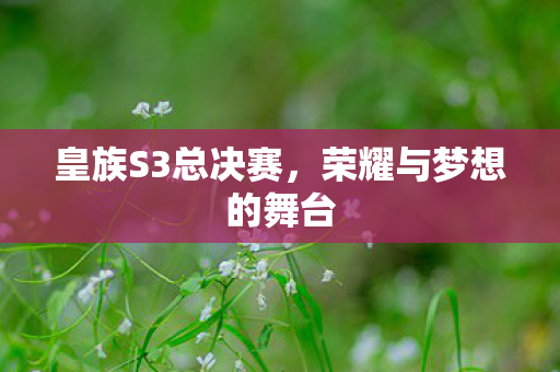 荣耀与梦想的舞台图片