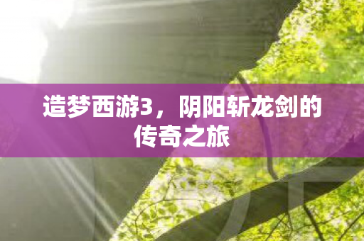 阴阳斩龙剑的传奇之旅图片