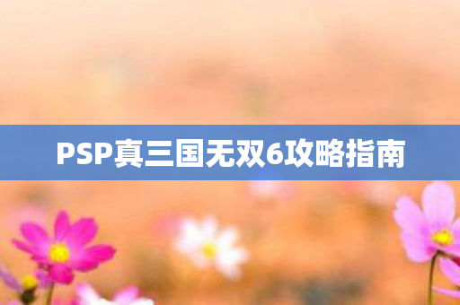 PSP真三国无双6攻略指南图片