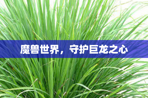 守护巨龙之心图片