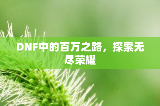 DNF中的百万之路图片