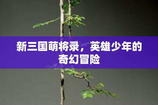 英雄少年的奇幻冒险图片