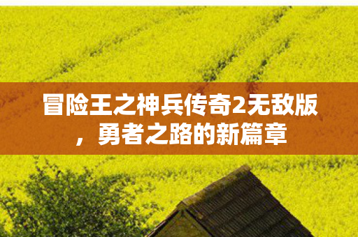 冒险王之神兵传奇2无敌版图片