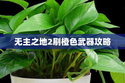 无主之地2刷橙色武器攻略图片