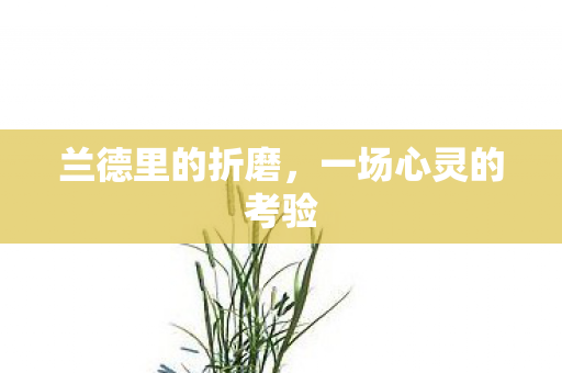 一场心灵的考验图片
