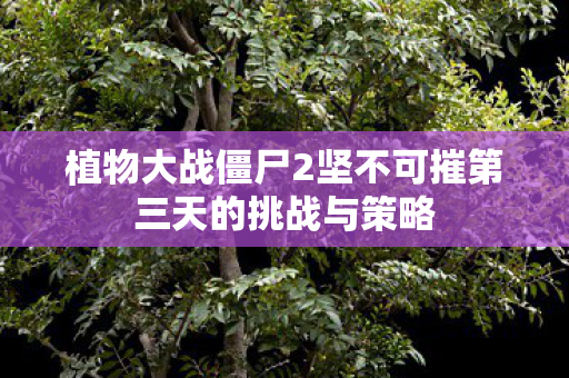 植物大战僵尸2坚不可摧第三天的挑战与策略图片