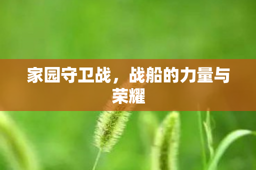 战船的力量与荣耀图片